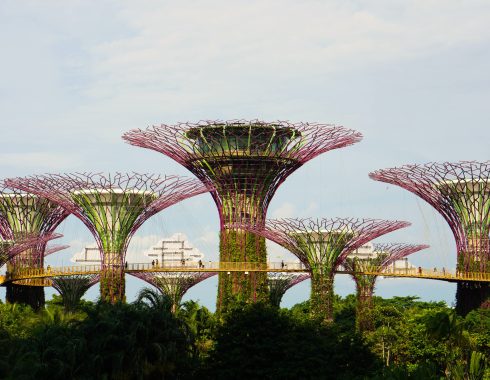 Garden by the Bay